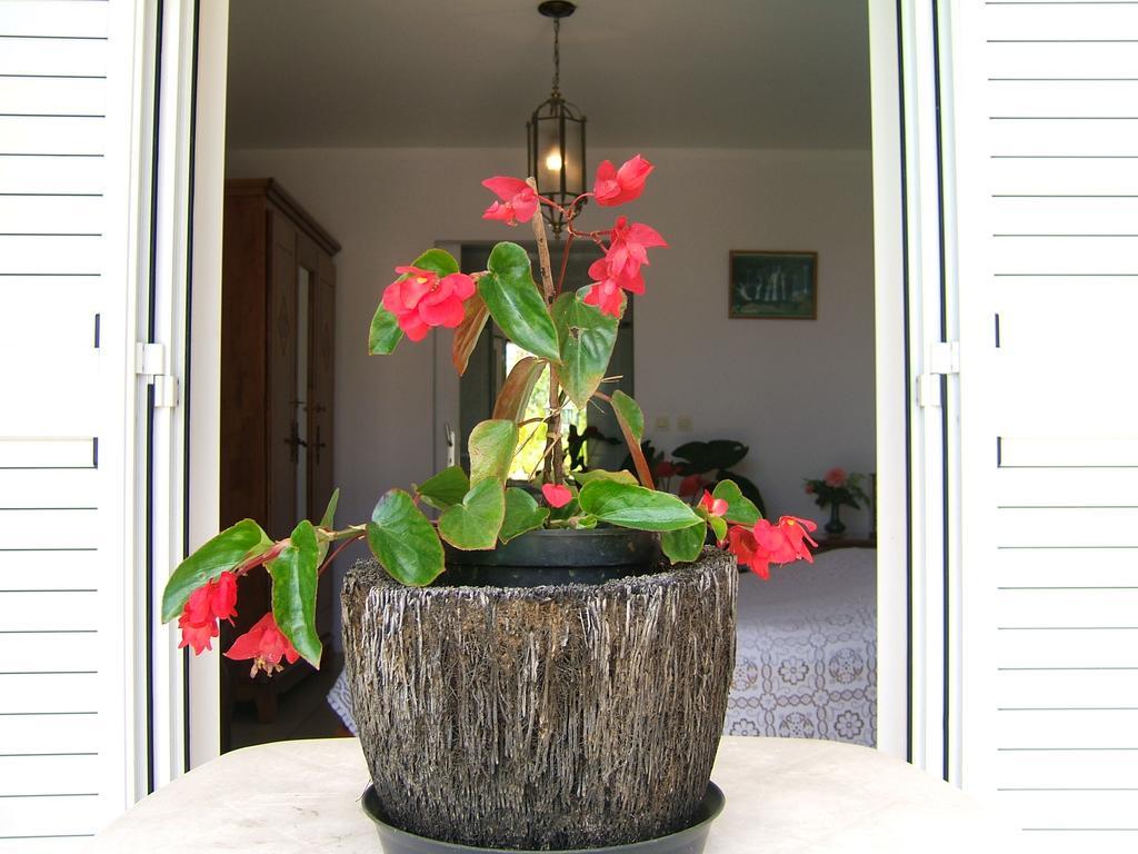 Holiday Home La Caverne Des Hirondelles Saint-Joseph Esterno foto